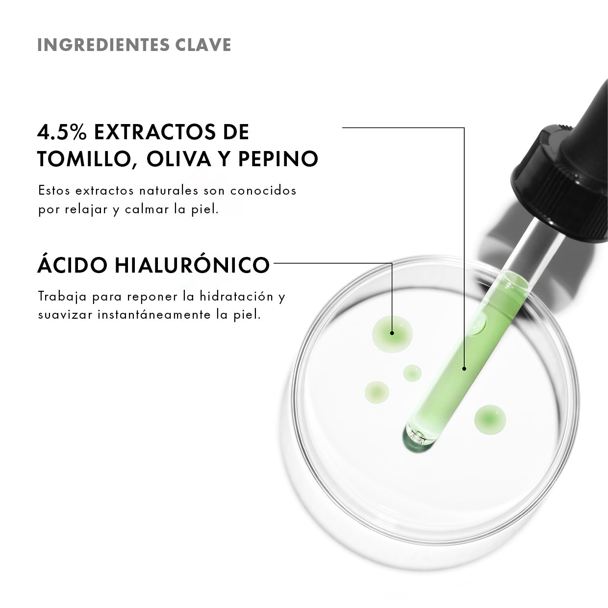 PHYTO CORRECTIVE SkinCeuticals